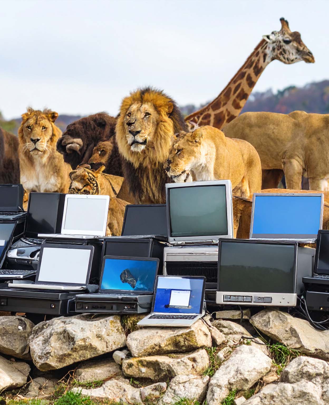 Twitter-Zoo for online communications