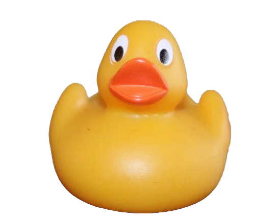 Are you a sitting duck? Keep your financial information safe with 2FA or MFA.